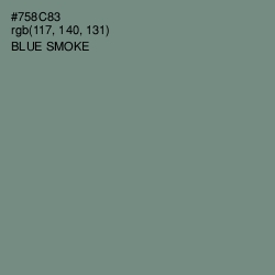 #758C83 - Blue Smoke Color Image