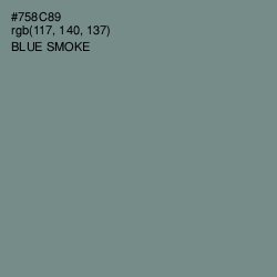 #758C89 - Blue Smoke Color Image