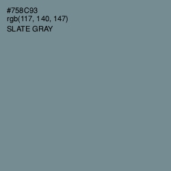 #758C93 - Slate Gray Color Image