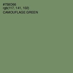 #758D66 - Camouflage Green Color Image