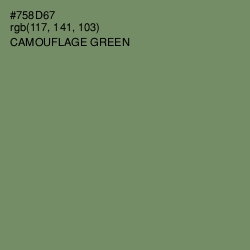 #758D67 - Camouflage Green Color Image