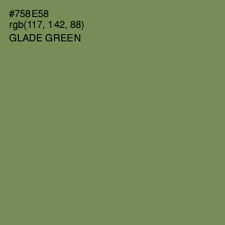 #758E58 - Glade Green Color Image