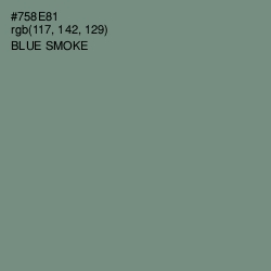 #758E81 - Blue Smoke Color Image