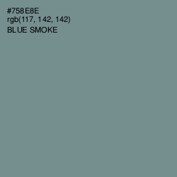 #758E8E - Blue Smoke Color Image