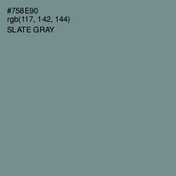 #758E90 - Slate Gray Color Image