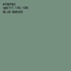 #758F80 - Blue Smoke Color Image