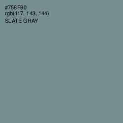 #758F90 - Slate Gray Color Image