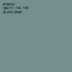 #758F91 - Slate Gray Color Image