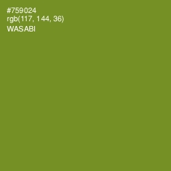 #759024 - Wasabi Color Image