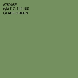 #75905F - Glade Green Color Image