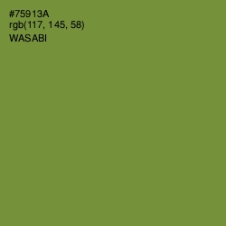 #75913A - Wasabi Color Image