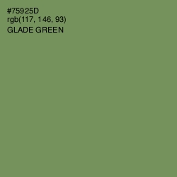 #75925D - Glade Green Color Image