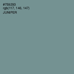 #759293 - Juniper Color Image
