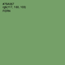 #75A067 - Fern Color Image