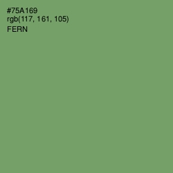 #75A169 - Fern Color Image