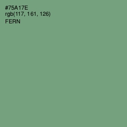 #75A17E - Fern Color Image