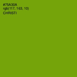 #75A30A - Christi Color Image