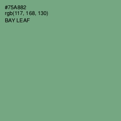 #75A882 - Bay Leaf Color Image