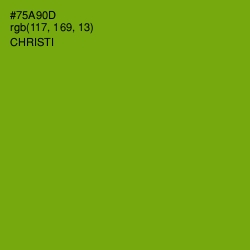 #75A90D - Christi Color Image