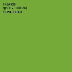 #75A938 - Olive Drab Color Image