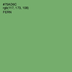 #75AD6C - Fern Color Image