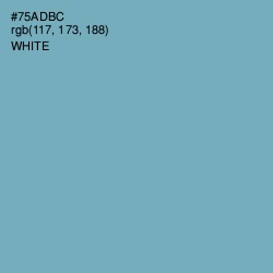 #75ADBC - Neptune Color Image