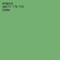 #75B073 - Fern Color Image