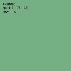 #75B085 - Bay Leaf Color Image