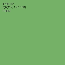 #75B167 - Fern Color Image