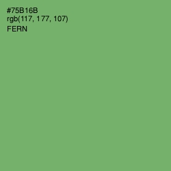 #75B16B - Fern Color Image