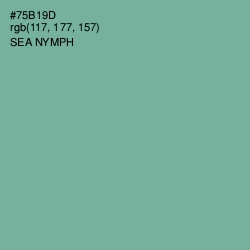 #75B19D - Sea Nymph Color Image