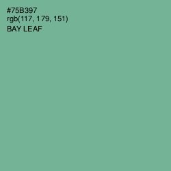 #75B397 - Bay Leaf Color Image