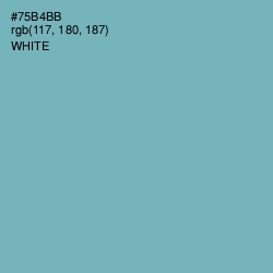#75B4BB - Neptune Color Image