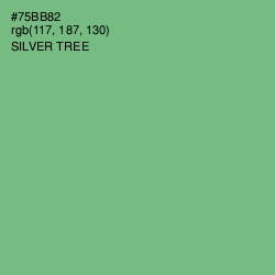 #75BB82 - Silver Tree Color Image