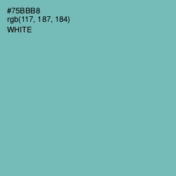 #75BBB8 - Neptune Color Image