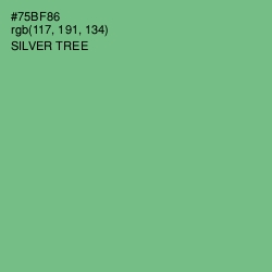 #75BF86 - Silver Tree Color Image