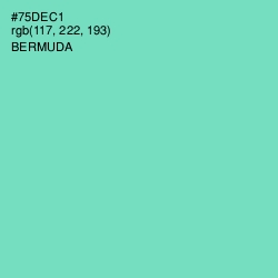 #75DEC1 - Bermuda Color Image