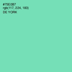 #75E0B7 - De York Color Image