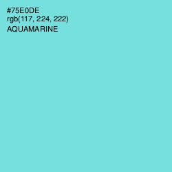 #75E0DE - Aquamarine Color Image
