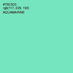 #75E5C0 - Aquamarine Color Image