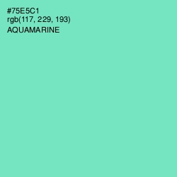 #75E5C1 - Aquamarine Color Image