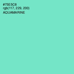 #75E5C8 - Aquamarine Color Image