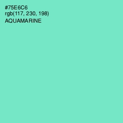 #75E6C6 - Aquamarine Color Image