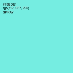 #75EDE1 - Spray Color Image