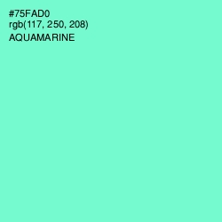 #75FAD0 - Aquamarine Color Image