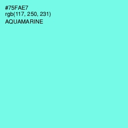 #75FAE7 - Aquamarine Color Image