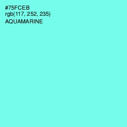 #75FCEB - Aquamarine Color Image