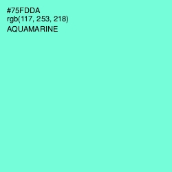 #75FDDA - Aquamarine Color Image