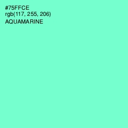 #75FFCE - Aquamarine Color Image