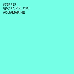 #75FFE7 - Aquamarine Color Image